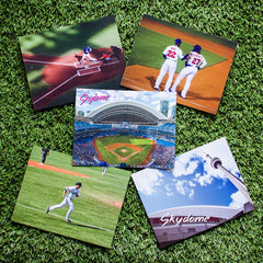Blue Jay Postcards